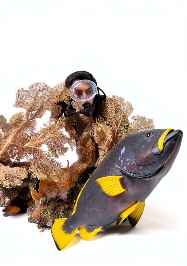 Quae livre numérique français édition 1er téléchargement-0