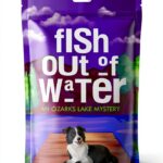 BGM Press Livre Mystère Ozarks Lake Série Roman Anglais-0