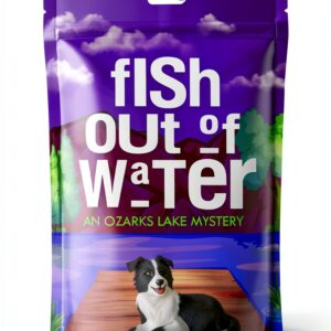 BGM Press Livre Mystère Ozarks Lake Série Roman Anglais-0