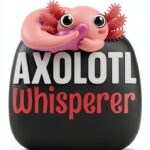 Livre allemand Independently published 120 pages 2022-0