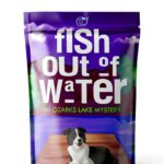 BGM Press Roman Mystère Ozarks Lake Ebook Kindle Enquête-0