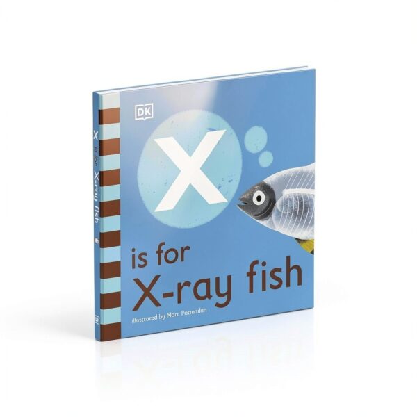 Livre Alphabet Animaux DK Children 16 pages 0-3 ans-2